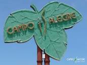 A green sign with gold letters

AI-generated content may be incorrect.